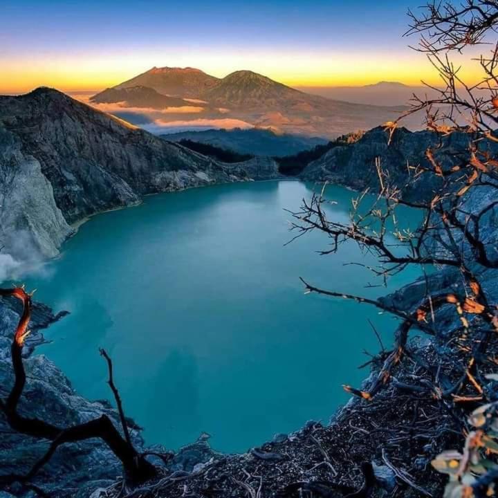 Dannu'S Homestay Ijen And Bromo Tour Banyuwangi  Bagian luar foto